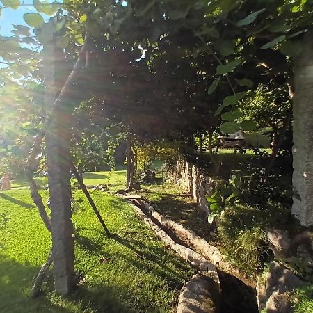Quinta Da Chanca Paredes de Coura Eksteriør bilde