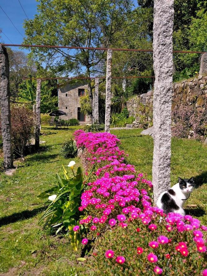 Quinta Da Chanca Paredes de Coura Eksteriør bilde