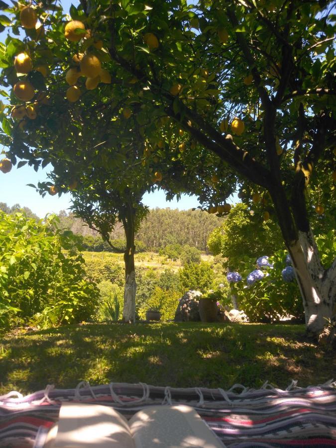 Quinta Da Chanca Paredes de Coura Eksteriør bilde