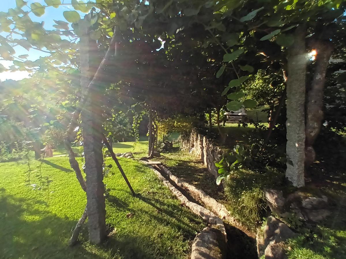 Quinta Da Chanca Paredes de Coura Eksteriør bilde