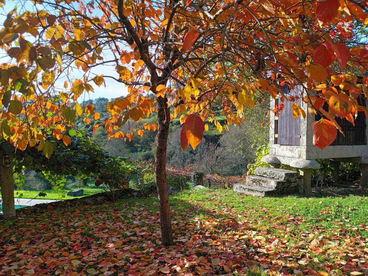 Quinta Da Chanca Paredes de Coura Eksteriør bilde