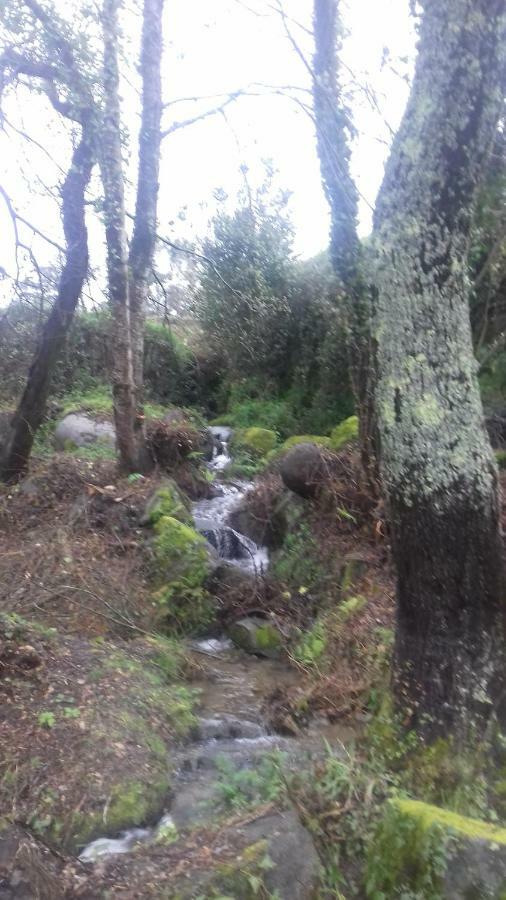 Quinta Da Chanca Paredes de Coura Eksteriør bilde