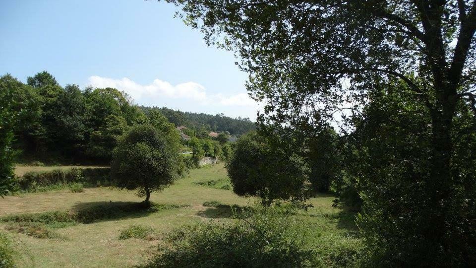 Quinta Da Chanca Paredes de Coura Eksteriør bilde
